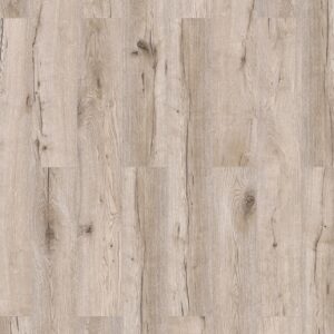 Oak Arbusto